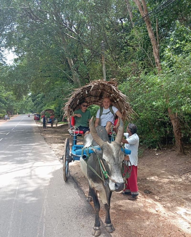 Two guests in a bullock cart with the driver beside the bull